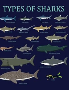 Paperback Types of Sharks: Blank Shark Sketchbook (Drawing Pad Sketch Book) (8.5 x 11 Large) Book