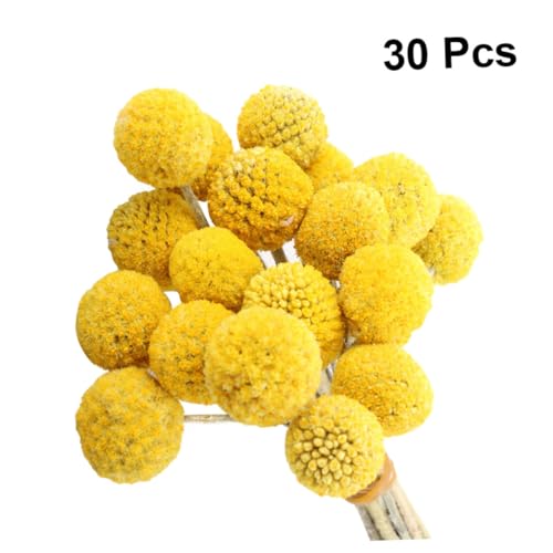 Decoración floral seca 30 unidades bolas amarillas miniatura 3