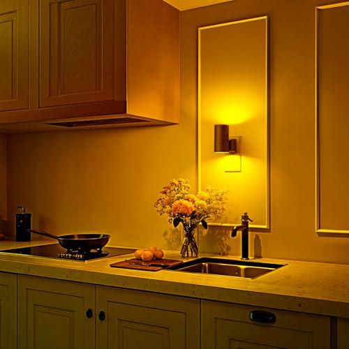 Image of Briignite Night Lights Plug into Wall, 2 Pack 11-Color Changing Night Light