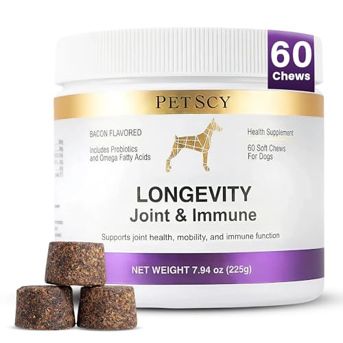 Petscy Longevity Hip & Joint + Immune Support Chews for Dogs - 3.75g Chew - High Dose Glucosamine, MSM, Chondroitin, Green Lipped Mussel, Omega 3, Probiotics - 60 Chews (Small & Medium Dogs)