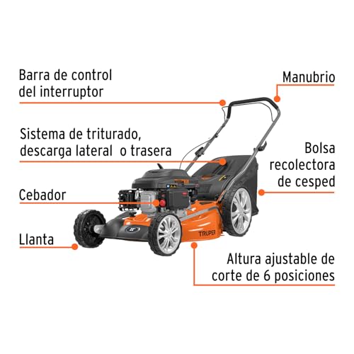 Imagen adicional