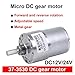 GB37-3530 High Torque Gear Motor 24V 12V DC with Eccentric Shaft Mounting Bracket Motor Holder for Industrial Applications(Style D,319rpm,2)