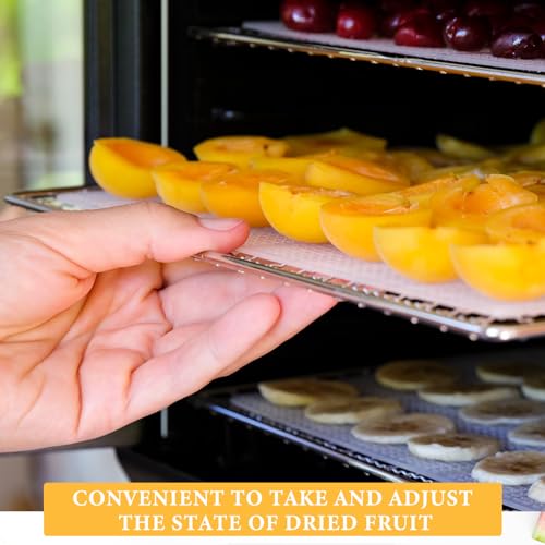 Baderke Trays de Aço Inoxidável para Desidratador de Alimentos, 4 Peças, Prata, Retangular, Compatív