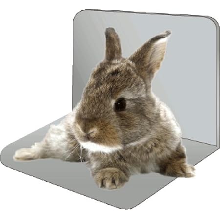 Amazon マルカン うさちゃんのひんやりクールアルミプレート うさぎ用 Rh 5 マルカン 飼育ケージ内装 通販