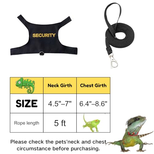 Conjunto de roupas de lagartos de dragão barbudo com coleira para animais de estimação pequenos, rép