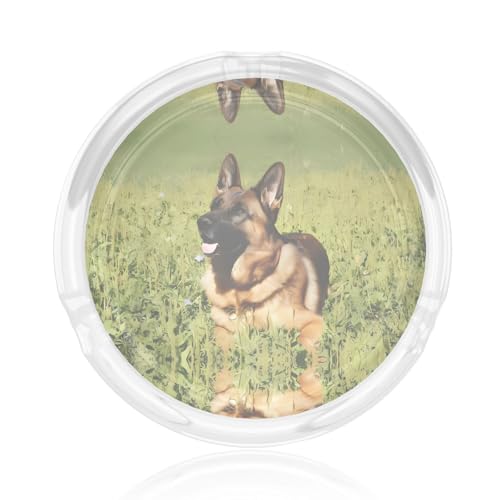 Cenicero redondo de cristal con estampado de perro pastor alemán de 3.3 pulgadas, cenicero de cigarrillos de cristal transparente para el hogar, la oficina y el uso al aire libre