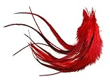 1 Dozen - Medium Solid Red Rooster Hackle Whiting Farm Hair Extension Feathers | Moonlight Feather