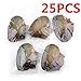 anso 25pcs Natural Freshwater Cultured Pearl Oyster with Real Pearls 7-8mm Pearl Individually Vacuum Pack