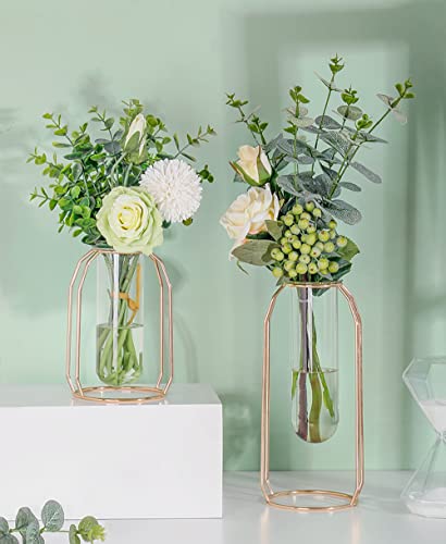 Desktop Gold Glass Vase With Metal Frame，Modern Creative Hydroponics Vase Metal Flower Planter Terrariums Plant Glass-Small & Large #TOP2