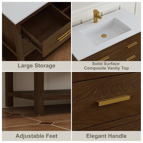DELUXE LIVING 30 Inch Bathroom Vanity with Sink, Farmhouse Storage Cabinet with Drawers & Open Storage Shelf, Easy Assembly, Adjustable Feet, Walnut