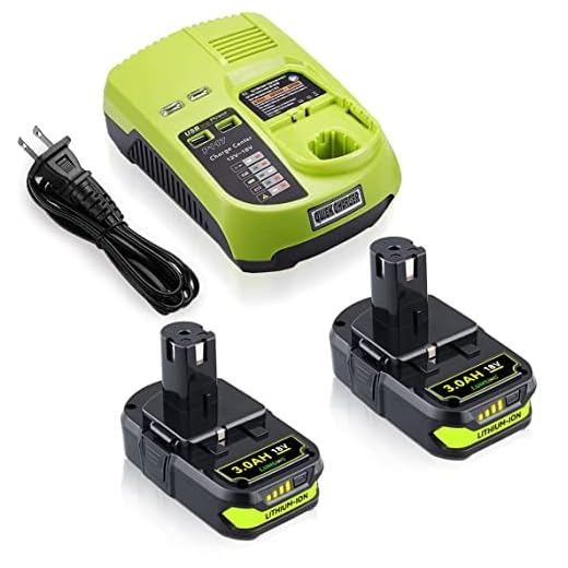 2Pack 3.0Ah P108 P102 Replacement for Ryobi Battery 18V Lithium + P117 Charger for Ryobi 18v Lithium Battery 18V P108 P107 P104 P105 P102 P103 Charger with 260051002 P117 P118 P119 P113 BCL1418