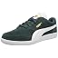 Green (Ponderosa Pine-puma White-puma Team Gold 43)