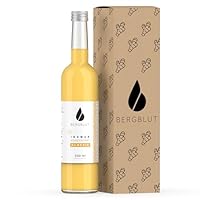 Bergblut Bio Ingwer Konzentrat – 500 ml Ingwerkonzentrat ohne Stücke mit Bio Zitronen & Limettensaft | Geeignet als scharfe Würze, Limonade & Ingwer Shot | Vegan & ohne Zucker oder Zusätze