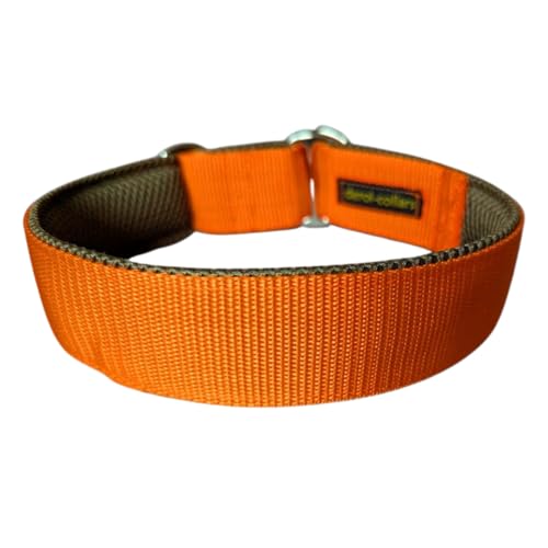 Breites 4cm Zugstopp-Halsband mit weicher Polsterung, verstellbar, robust & komfortabel in leuchtendem Orange, leicht & elegant (bis 38cm Hals- 44cm Kopfumfang)