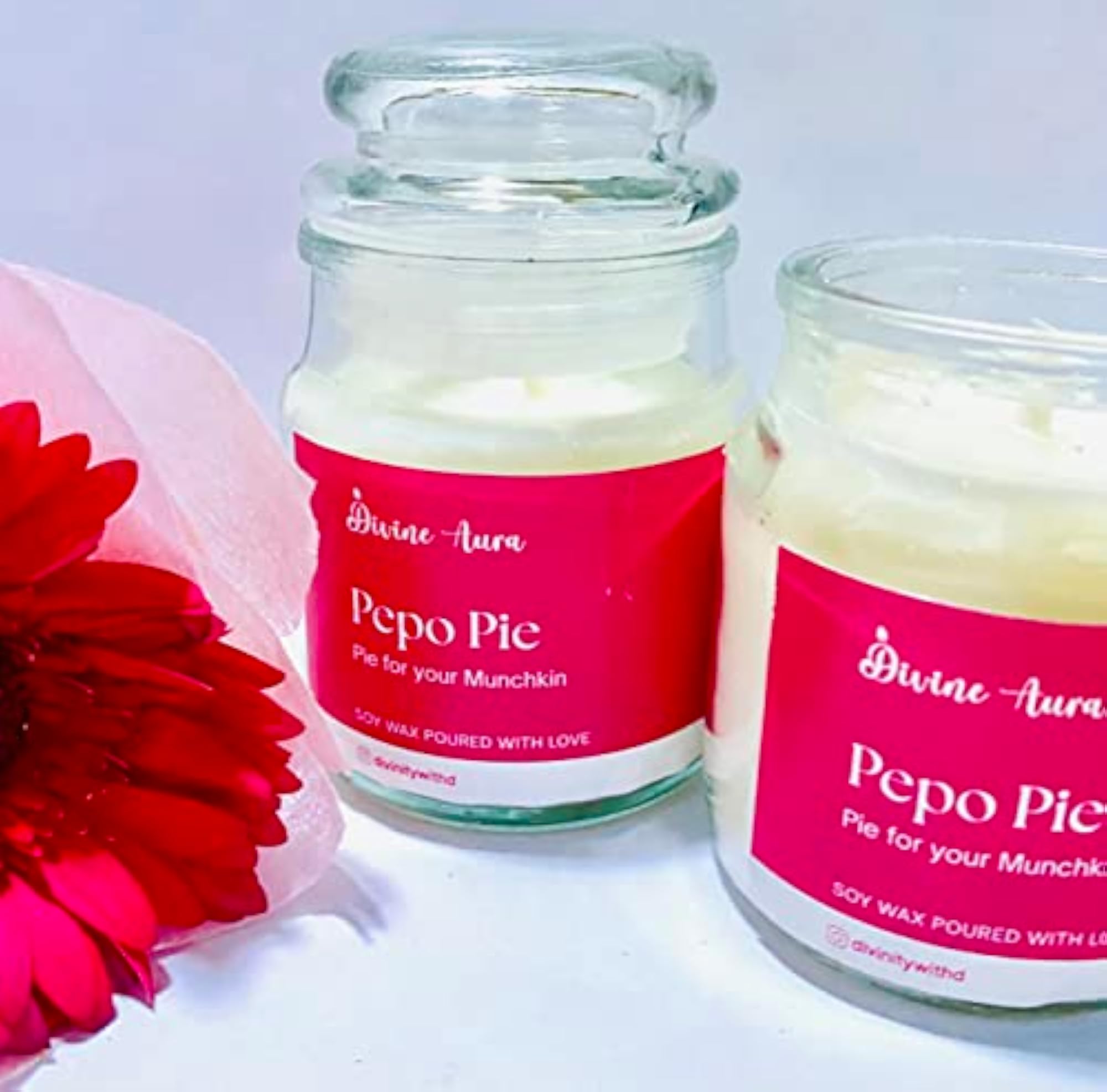 Scented Soy Wax Candle Pepo Pie, Medium Gift