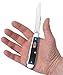 Case WR XX Pocket Knife Navy Blue Jigged Bone Trapper Item #7051 - (6254 SS) - Length Closed: 4 1/8 Inches