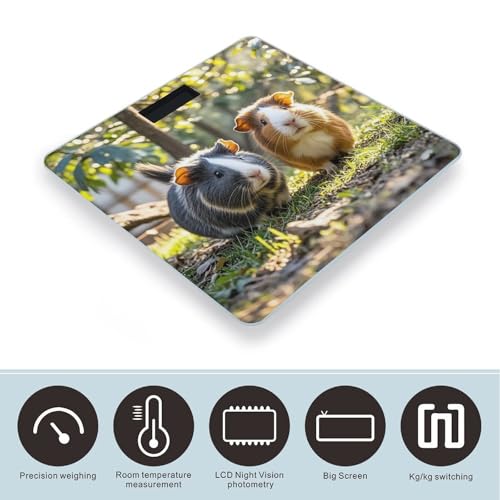 Báscula digital para baño con vidrio templado y pantalla LCD miniatura 3
