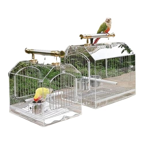 Kwueiit L[̑̃AN Čy  CR ʋCǂ o ړ ʉ@  g (傫) ()