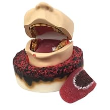 Smokers Foul Mouth Display