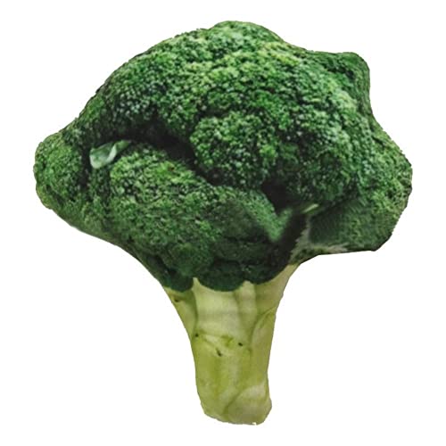 How to cook broccoli for dogs Metro Cooking Dallas