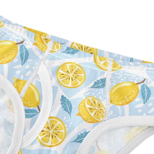 Boys' Exclusive Briefs Toddler Underwear 95% Combed Cotton Boxerbriefs 2T Lemon and Leaf Pattern 374
