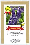 1 Portion = 300 Samen Wilde Lupine - Stauden-Lupine - ausdauernd - Bienenweide - Bauerngarten - 300 Samen
