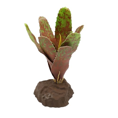 Lucky Reptile Scape it Easy – Bromelie Neoregelia grön ca 20 cm – bottenbotten för terrarier