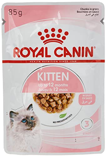 Royal Canin Kitten | 12 x 85 g | Nassfutter für Kitten | Feine Stückchen in Soße | Speziell für Katzenwelpen in der zweiten Wachstumsphase bis zum 12. Monat