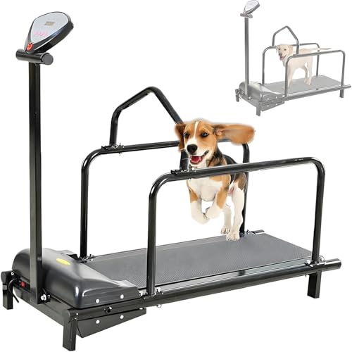 ZMJGLL Cinta de Correr para Perros, Cinta de Correr para Perros Grandes, Cinta de Correr para Perros medianos, máquina de Correr para Mascotas, con Motor silencioso y velocidades Ajustables