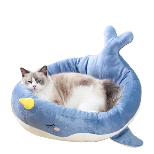 DiexgiyNEhRbgybgxbhpbht̔LxbhAVvŃX^CbVA̐FI\ ( [50cm×47cm],nTȃNW)