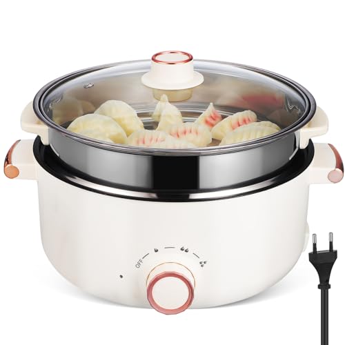 POPETPOP Olla de cocción eléctrica multifuncional Bote olla eléctrica antiadherente olla eléctrica de la olla ramen olla eléctrica para cocinar ollas de vapor para cocinar Acero inoxidable