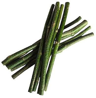 Timosha™ || KARANJ - Datoon|Datwan|Chew-Stick || 45 pcs.