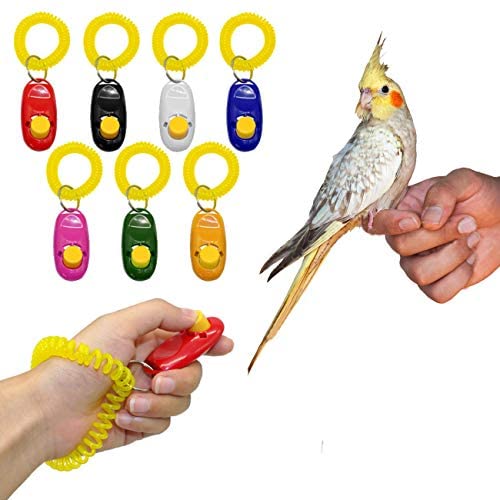 PSK PET MART Pet Training Clicker with Wrist Strap for Bird/Parrots/Cockatiel/Budgies/African Grey/Cockatoo (Random) (B09P1ZMWQD) Amazon Price History, Amazon Price Tracker