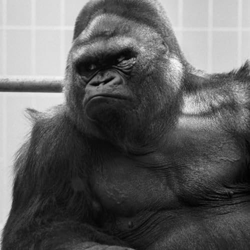 You can't make people speak the language you want