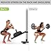 Lifeswell Belt Squat Attachment for 2