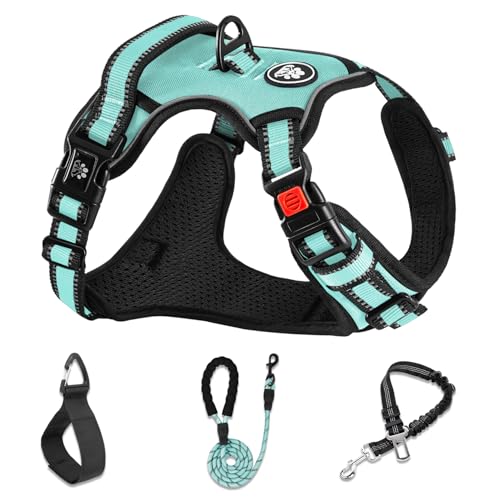 NESTROAD No Pull Dog Harness,Adjustable Oxford Dog Vest Harness with Leash,Reflective No-Choke Pet Harness with Easy Control Soft Handle for Small Dogs(Small,Turquoise)