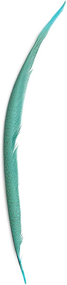 ZUCKER 1 pc Bleached - Dyed Golden Pheasant Feather Craft Supplies - 20-30 inch (Silver Dunn Blue)