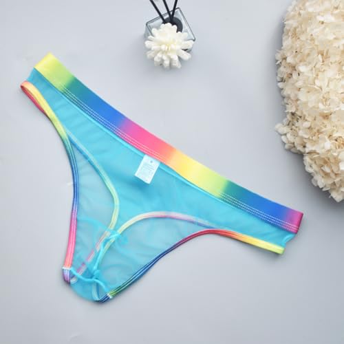 Mesh See Through Briefs Underwear for Men Gay Pride Sexy Rainbow Sheer Thongs Mens Naughty T Back Lingerie2