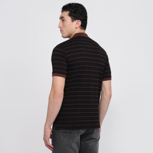 Image of Park Avenue Men Slim Fit Stripe Pattern Pure Cotton Polo Neck Half Sleeve Casual T-Shirt