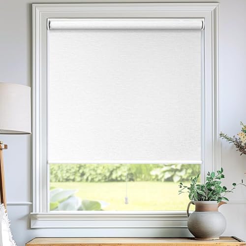 CHICOLOGY Roller Shades, Cordless Blinds, Window...