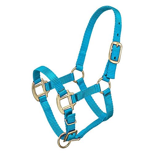 Tough 1 Premium Halter Yearling Turquoise