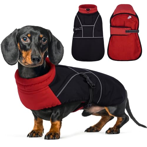 Lelepet Dachshund Coat Warm Dog Winter Coat Waterproof Dog Jacket with Fleece Lining, Reflective Outdoor Dachshund Snowsuit with Leash Hole Adjustable Neckline,Coats for Small Medium Dogs,Re