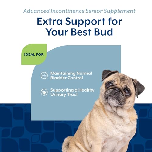 Image of NaturVet Senior Advanced Incontinence Dog Supplement - Helps Support Dog's Bladder Control, Normal Urination - Includes Synergistic Blend of Botanicals - 120 Ct. Soft Chews (Pack of 2)