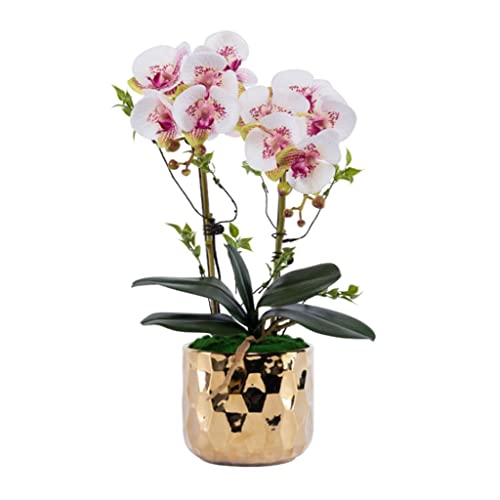 lHԃt@GmvVXƑ̌̃e[û߂̋F̃Z~bNAؔ̋ỦԃvX`bNԂ̃Z^[s[Xz[Z^[s[Xibj