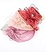 Z&X Organza Church Fascinator Wedding Tea Party Derby Hats for Women Flower Wide Brim Sun Hat Peach Pink