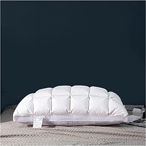 Oreillers en plumes blanches douces Feng Shui de lit style français 48x74cm