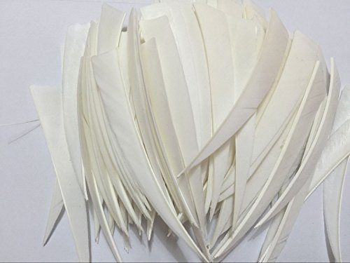 Jiexi Hwyp Archery Fletches 5" Turkey Feather Shielded Shape Pack Of 100 (White, Left Wing) #TOP1