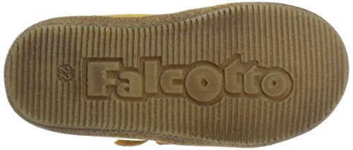 Falcotto