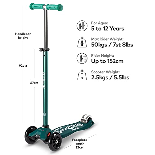 Electric Folding Utility Scooter