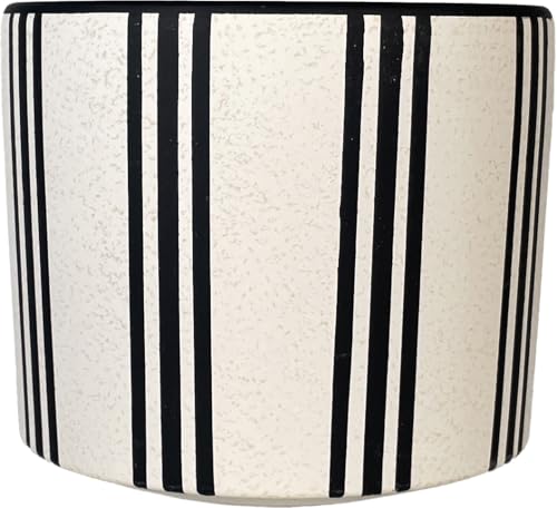 픫   XgCv|bg o[`J ubN W120×D120×H100